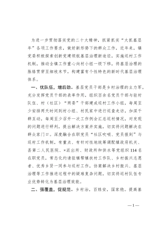 经验做法：党建领航以巡促治谋振兴