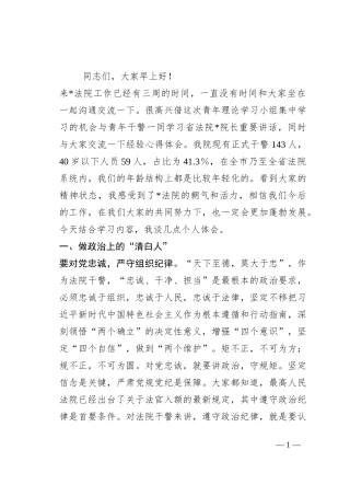 在2023年度法院青年理论学习小组学习研讨活动上的讲话