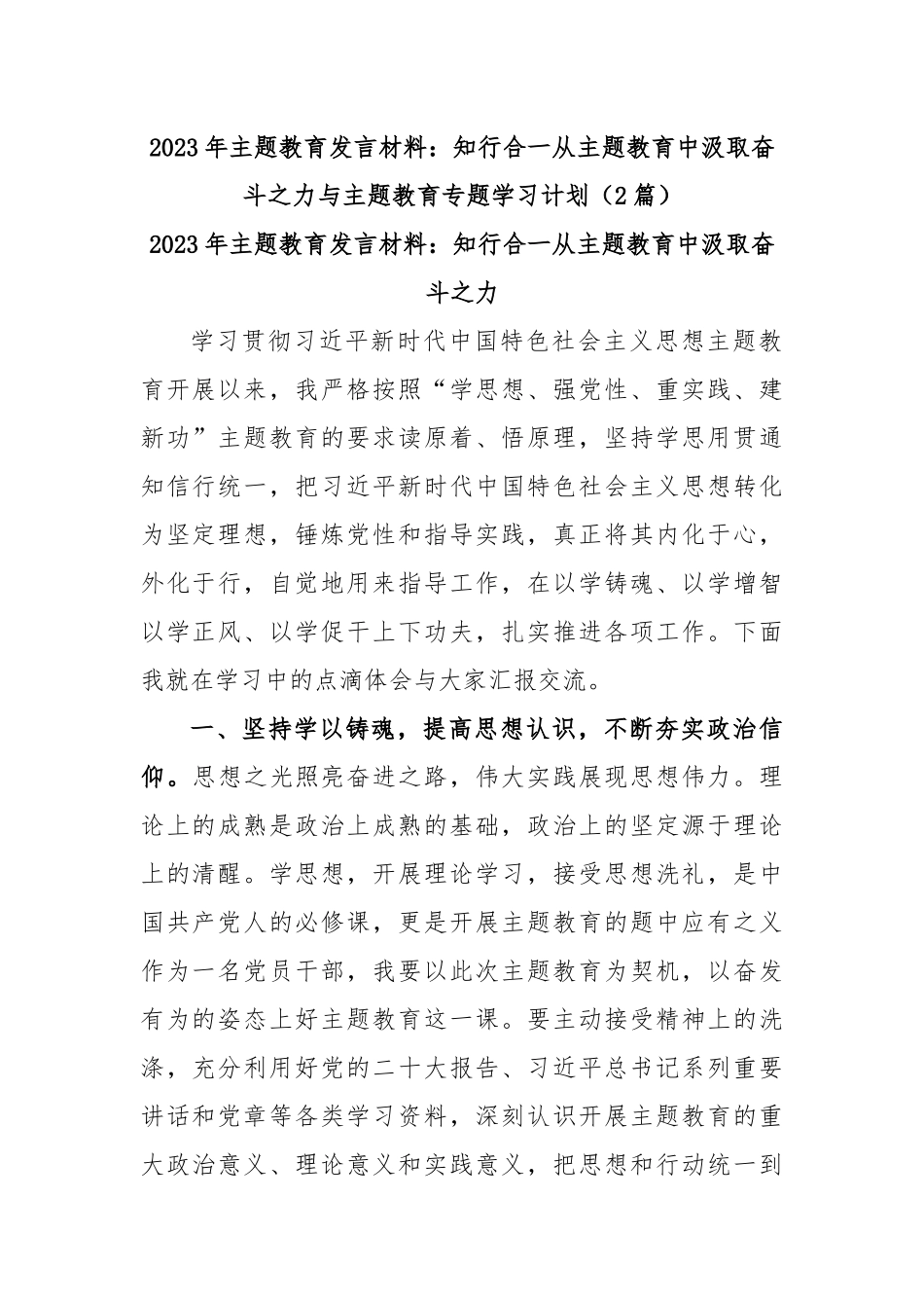 (2篇)2023年主题教育发言材料：知行合一从主题教育中汲取奋斗之力与主题教育专题学习计划_第1页