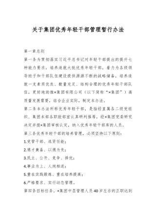 关于集团优秀年轻干部管理暂行办法