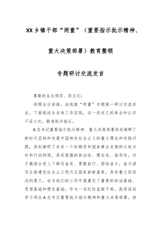 XX乡镇干部“两重”（重要指示批示精神、重大决策部署）教育整顿专题研讨交流发言