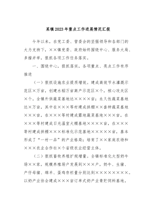 某镇2023年重点工作进展情况汇报