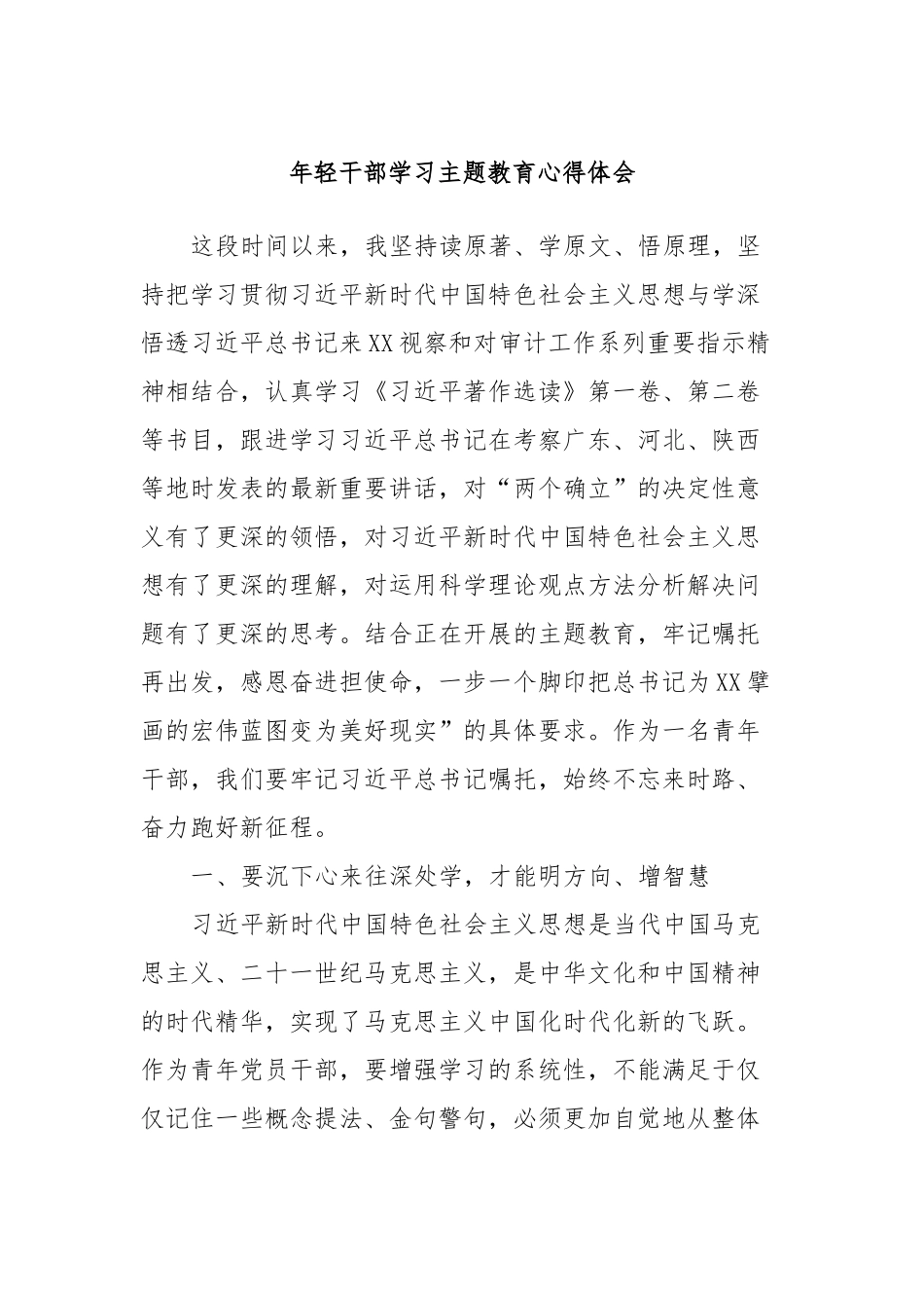年轻干部学习主题教育心得体会_第1页