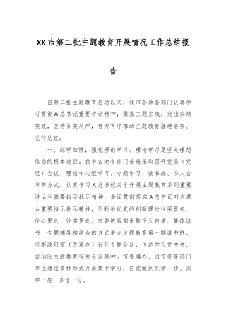 XX市第二批主题教育开展情况工作总结报告