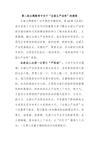 第二批主题教育中关于“全面从严治党”的感悟