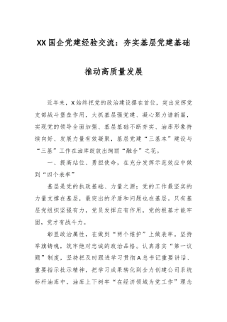 XX国企党建经验交流：夯实基层党建基础推动高质量发展