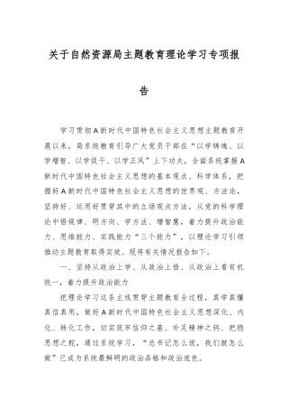 关于自然资源局主题教育理论学习专项报告
