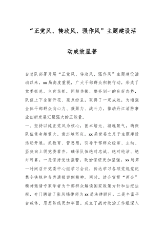 “正党风、转政风、强作风”主题建设活动成效显著