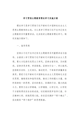 学习贯彻主题教育理论学习实施方案