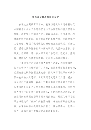 第二批主题教育研讨发言 (3)