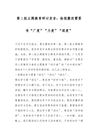 第二批主题教育研讨发言：检视整改需要有“广度”“力度”“深度”