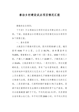 关于善治乡村建设试点项目情况汇报