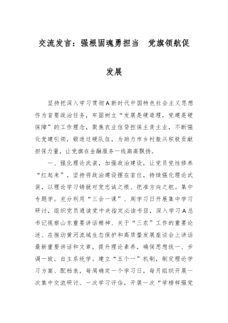 交流发言：强根固魂勇担当  党旗领航促发展