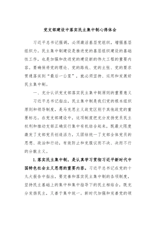 党支部建设中落实民主集中制心得体会