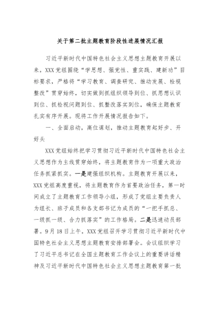关于第二批主题教育阶段性进展情况汇报