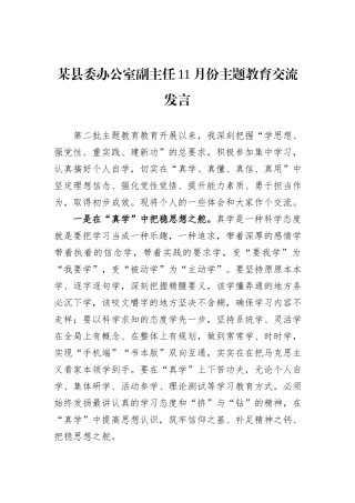 某县委办公室副主任11月份主题教育交流发言
