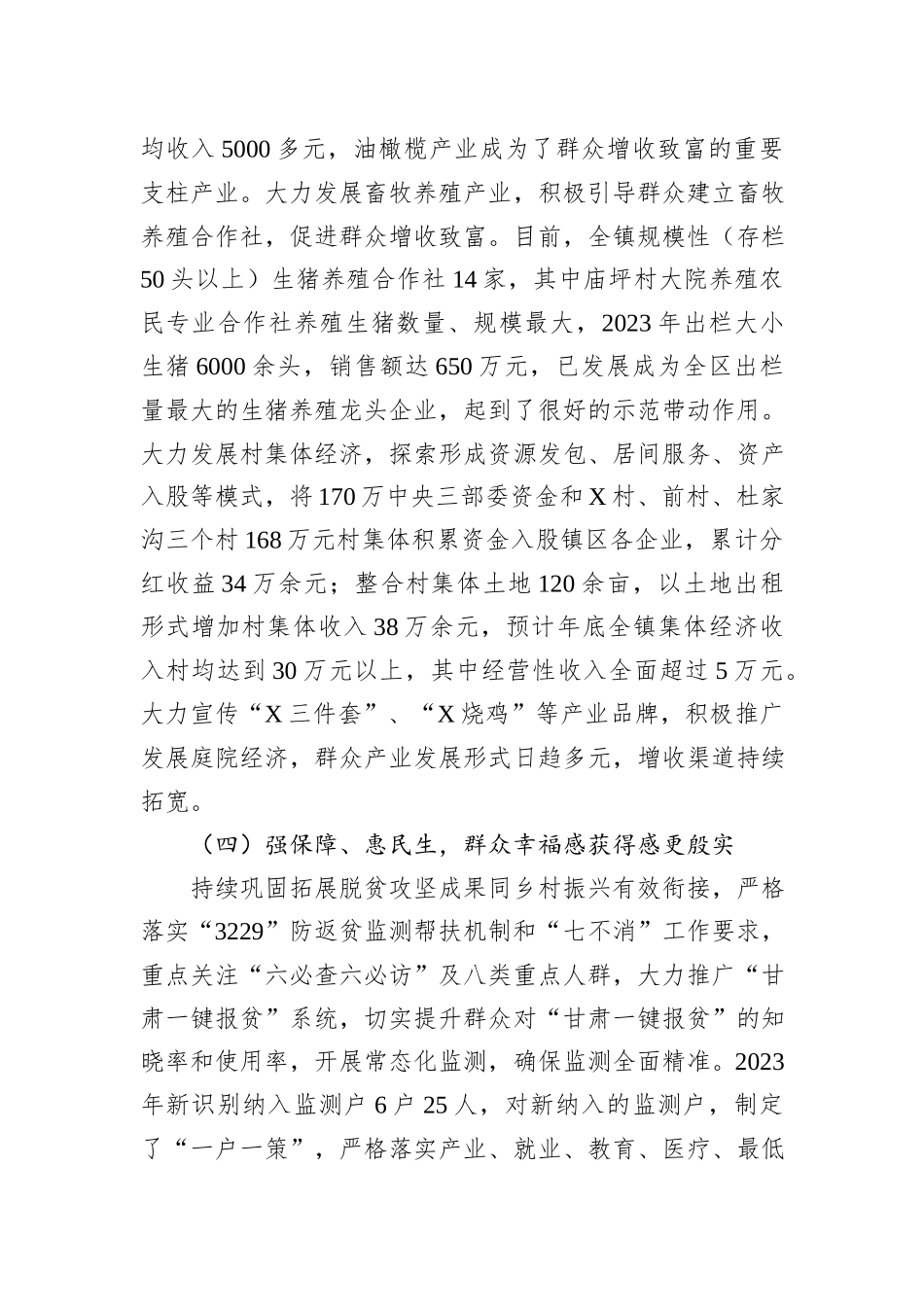 镇2023年工作总结暨2024年工作打算_第3页