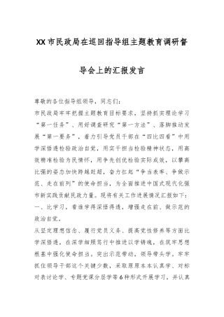 XX市民政局在巡回指导组主题教育调研督导会上的汇报发言