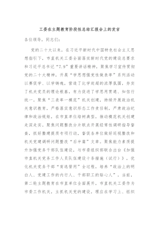 工委在主题教育阶段性总结汇报会上的发言