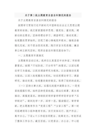 关于第二批主题教育自查自纠情况的报告