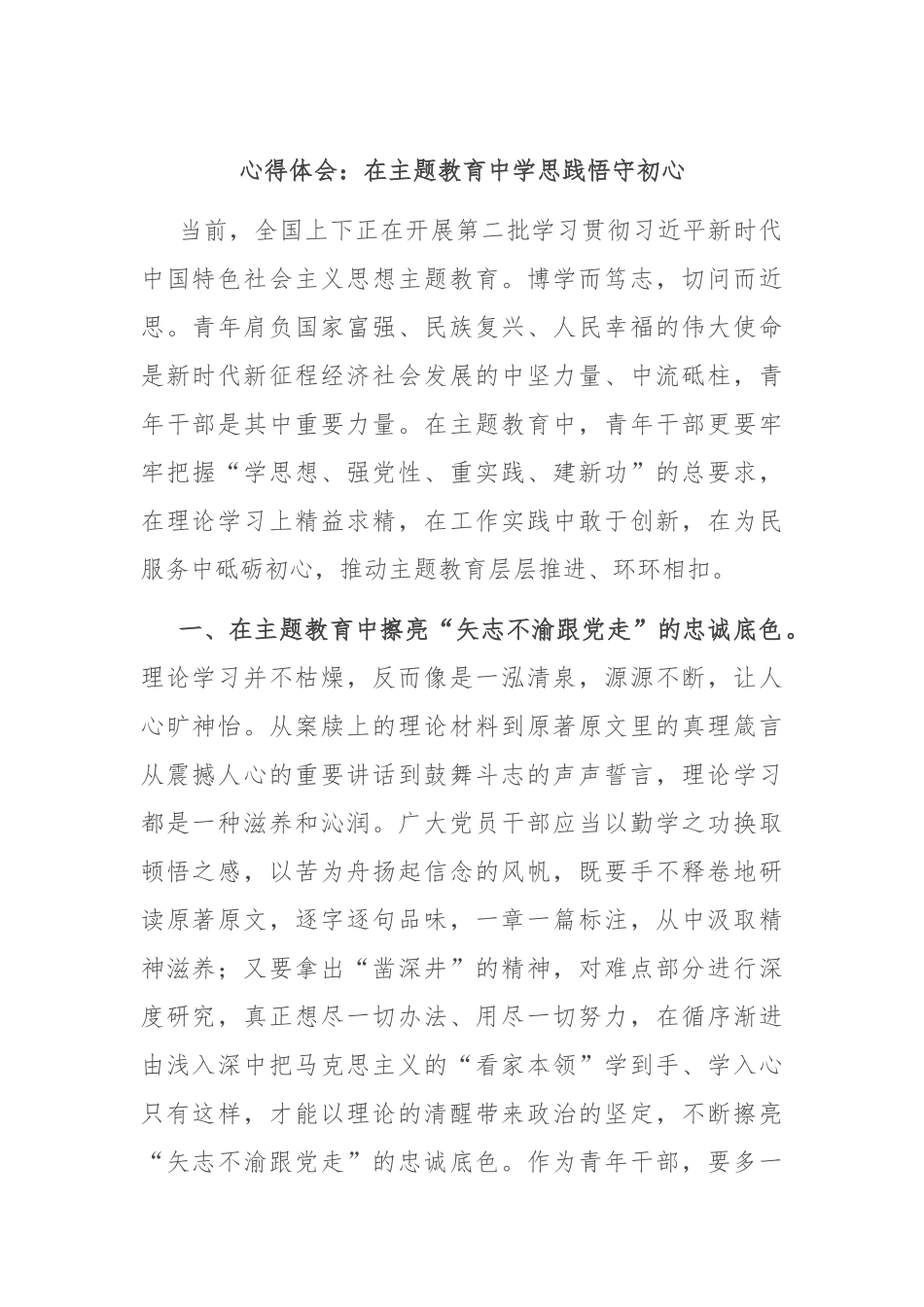 心得体会：在主题教育中学思践悟守初心_第1页