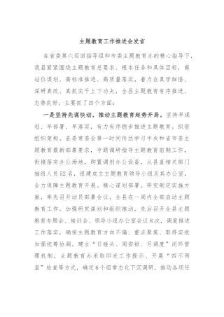 主题教育工作推进会发言