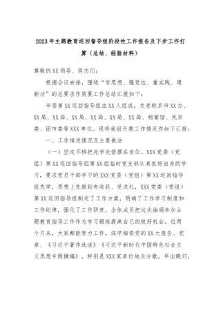 2023年主题教育巡回督导组阶段性工作报告及下步工作打算（总结、经验材料）