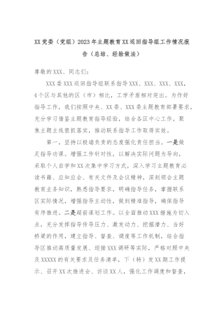 XX党委（党组）2023年主题教育XX巡回指导组工作情况报告（总结、经验做法）
