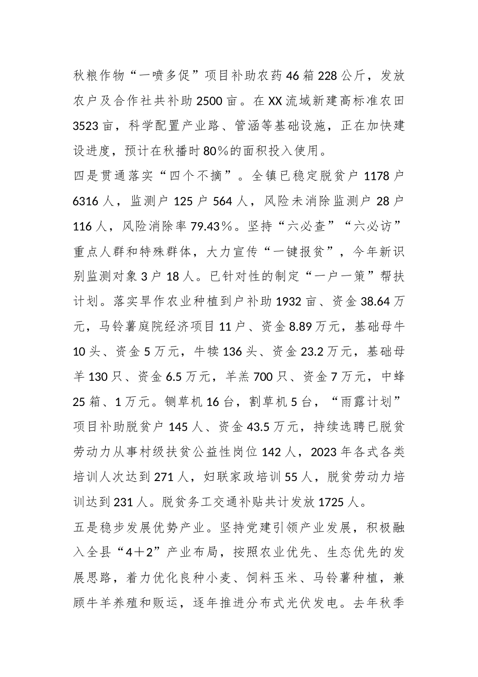 XX镇2023年度工作总结_第3页