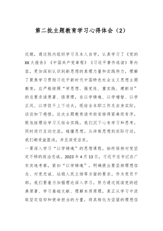 第二批主题教育学习心得体会（2）