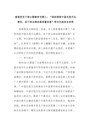 普通党员干部主题教育专题三：“深刻领悟中国式现代化理论，实干担当推动高质量发展”研讨交流发言材料