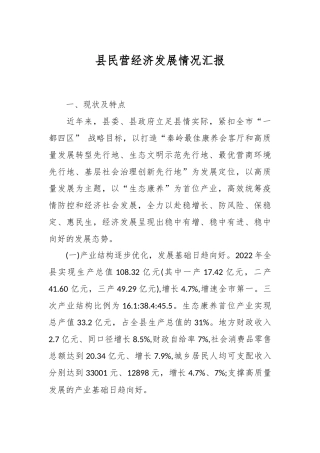 县民营经济发展情况汇报