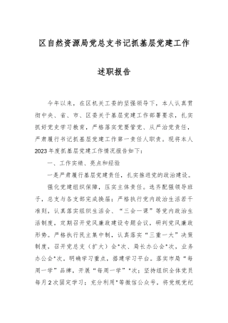 区自然资源局党总支书记抓基层党建工作述职报告