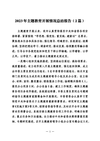 20231100 2023年主题教育开展情况总结报告