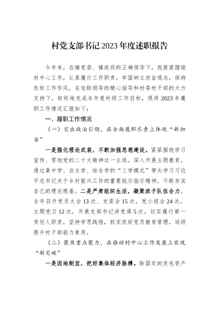 村党支部书记2023年度述职报告