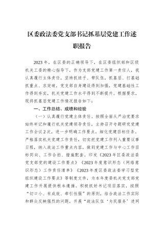 区委政法委党支部书记抓基层党建工作述职报告 (1)