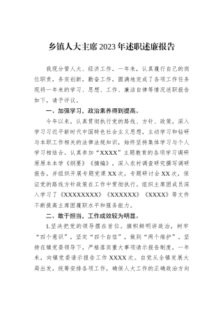乡镇人大主席2023年述职述廉报告