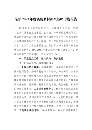 某镇2023年度实施乡村振兴战略专题报告