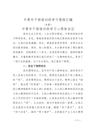 （4篇）中青年干部培训班学习感悟汇编