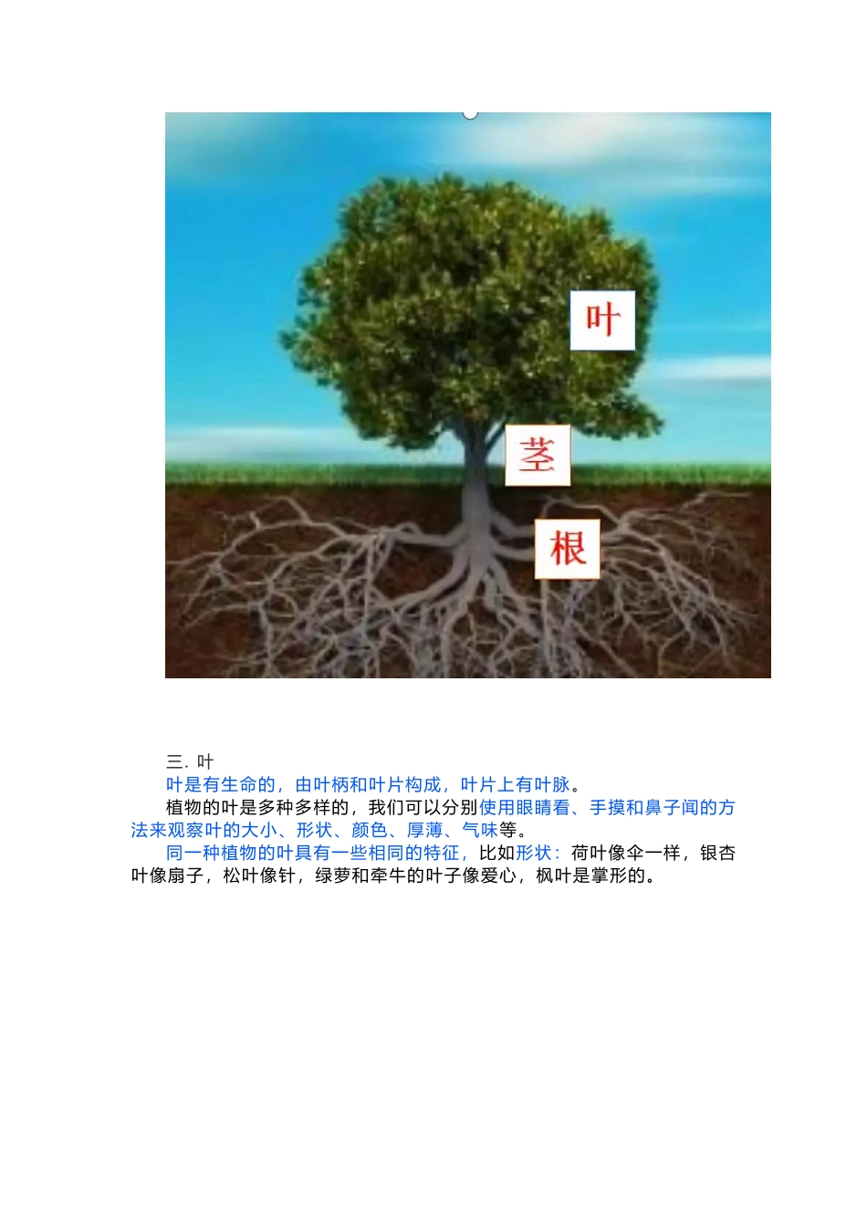 教科版科学一年级上册期末复习知识点总结_第3页