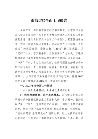 市信访局全面工作报告