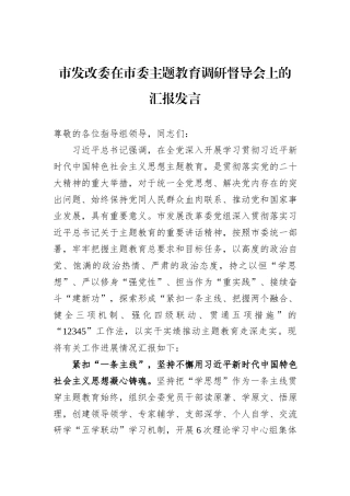 市发改委在市委主题教育调研督导会上的汇报发言