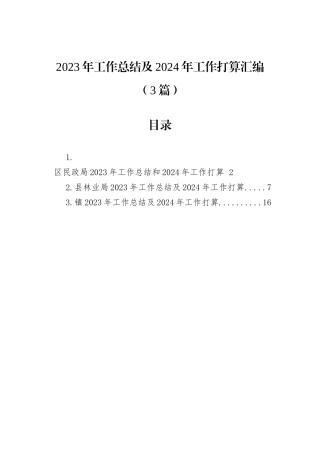 2023年工作总结及2024年工作打算汇编（3篇）
