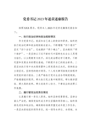 党委书记2023年述责述廉报告