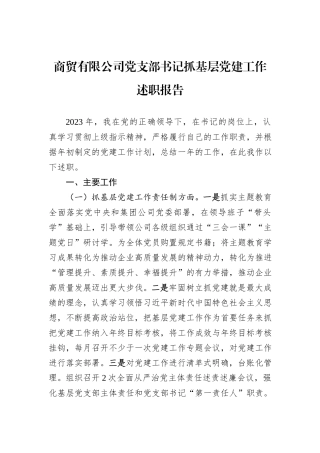 商贸有限公司党支部书记抓基层党建工作述职报告