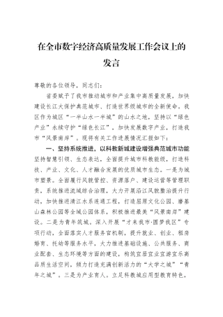 在全市数字经济高质量发展工作会议上的发言