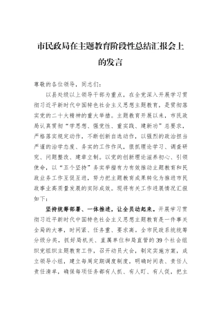 市民政局在主题教育阶段性总结汇报会上的发言