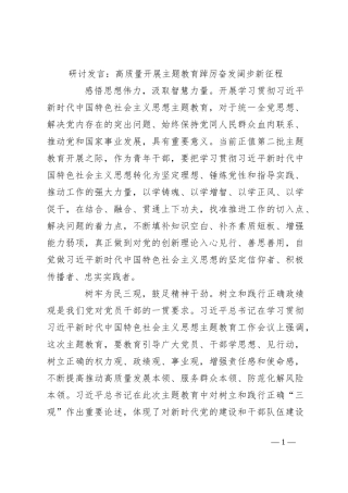 研讨发言：高质量开展主题教育 踔厉奋发阔步新征程