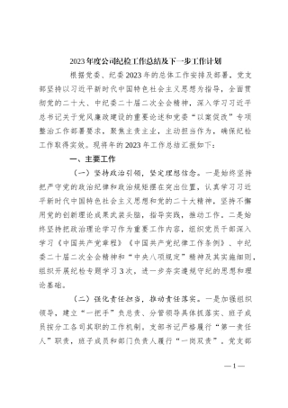 2023年度公司纪检工作总结及下一步工作计划