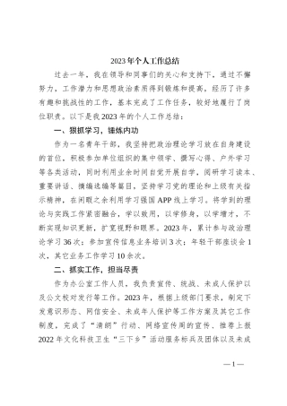 2023年个人工作总结